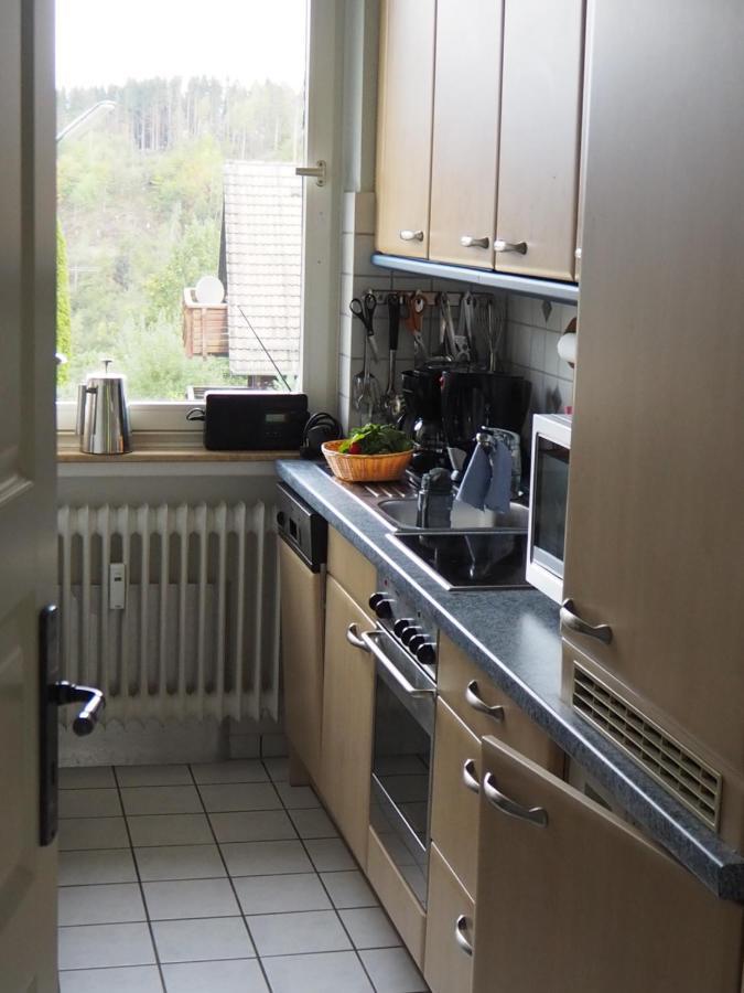 Ferienwohnung Am Kunstberg 29 Altenau  Dış mekan fotoğraf