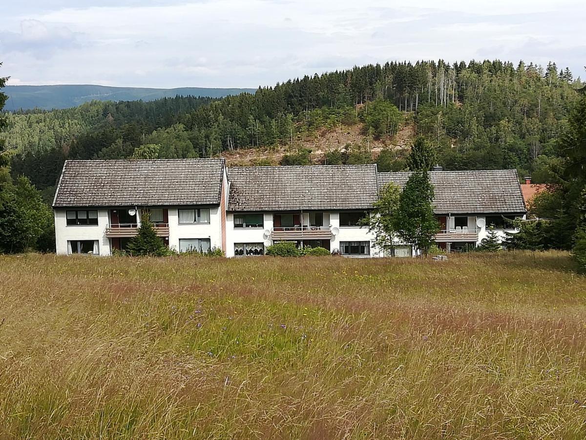 Ferienwohnung Am Kunstberg 29 Altenau  Dış mekan fotoğraf